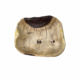 میوه خوری کد 6003