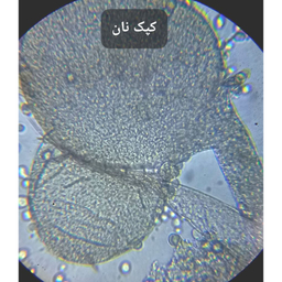 میکروسکوپ مدل 1280X به همراه چشمی دیجیتال و کیف حمل
