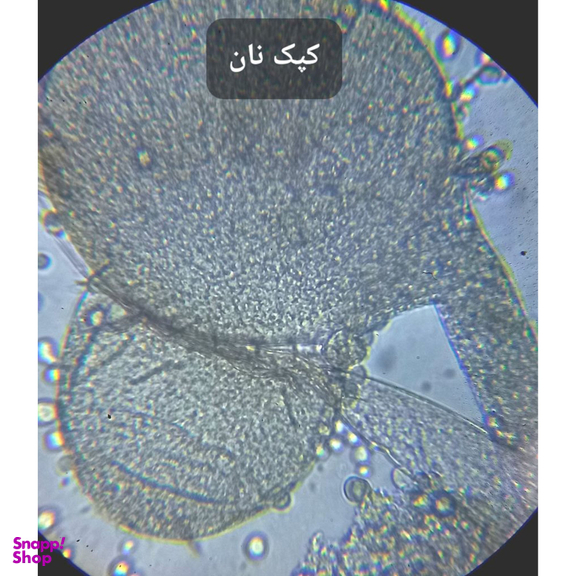 میکروسکوپ مدل 1280X به همراه چشمی دیجیتال و کیف حمل