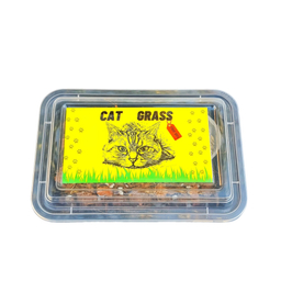 علف گربه تشویقی مدل Cat Grass وزن 110 گرم