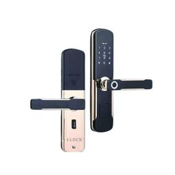 دستگیره هوشمند آیلاک مدل H1