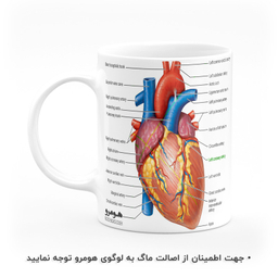 ماگ هومرو طرح پزشکی آناتومی مدل MG9048