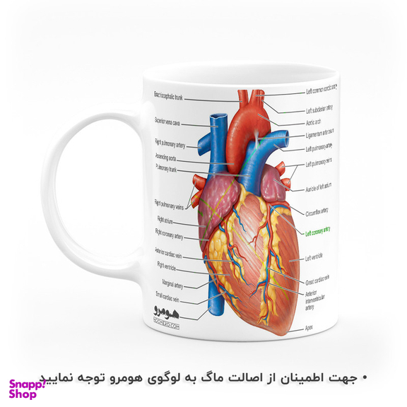 ماگ هومرو طرح پزشکی آناتومی مدل MG9048