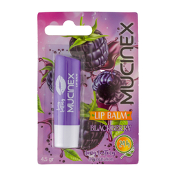 بالم لب ماسینکس مدل Black berry حجم 4.5 میلی لیتر