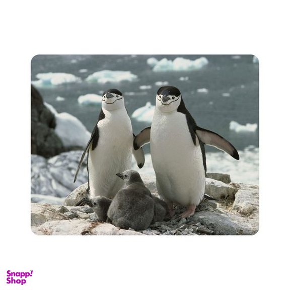 ماوس پد اطلس آبی طرح پنگوئن و برف مدل T7245