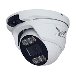 دوربین مداربسته تحت شبکه رایمون مدل 5 مگاپیکسل H52 Network Surveillance