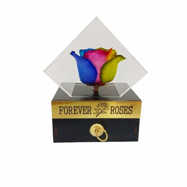 گل خشک رز جاودان کد 507