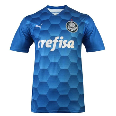 تیشرت ورزشی پسرانه مدل پالمیراس کد NK-3354 رنگ آبی