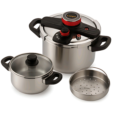 زودپز 2 قلو یونیک کد RAGA _4_6 گنجایش 4 و 6 لیتری