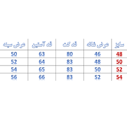 پالتو مردانه کد M2