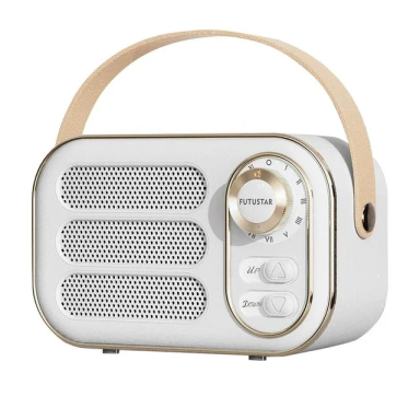 اسپیکر بلوتوثی قابل حمل مدل DW13 کد 13