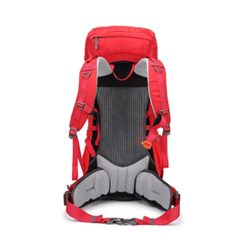 کوله پشتی 45+5 ليتری پکینیو مدل Summit