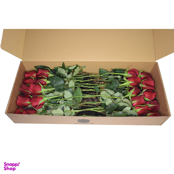 شاخه گل رز هلندی قرمز دسته 20 عددی