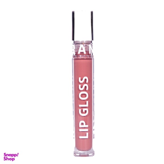 رژ لب مایع فرانسیس مدل Lip Gloss کد 3