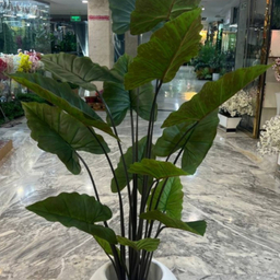 گلدان به همراه درختچه مصنوعی مدل بابا آدم جنگلی