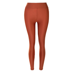 لگ ورزشی زنانه آگی مدل Shiny Lycra 24035 W رنگ آجری