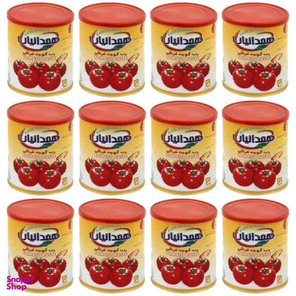 کنسرو رب گوجه فرنگی همدانیان وزن 800 گرم بسته 12 عددی