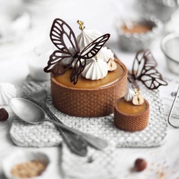 قالب رینگ تارت به گز مدل دایره کد 8