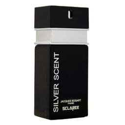 ادوپرفیوم مردانه جیبی اسکلاره مدل Silver Scent