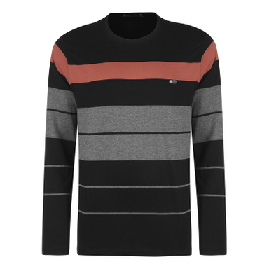 تیشرت آستین بلند مردانه باینت مدل 770