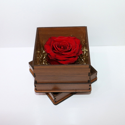 جعبه گل رز جاودان قرمز مدل Roselle