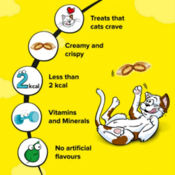 تشویقی گربه دریمیز با طعم پنیر وزن 60 گرم