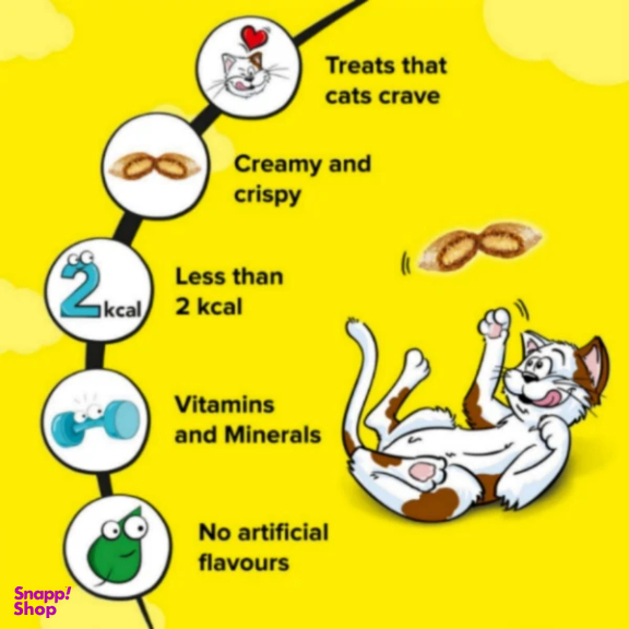 تشویقی گربه دریمیز با طعم پنیر وزن 60 گرم