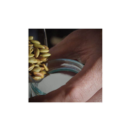 جای ادویه ایکیا مدل CITRONHAJ کد 215 مجموعه 4 عددی