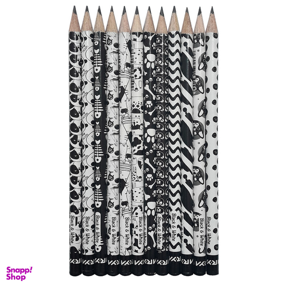 مداد مشکی آریا مدل BLACK & WHITE کد A2 بسته 12 عددی