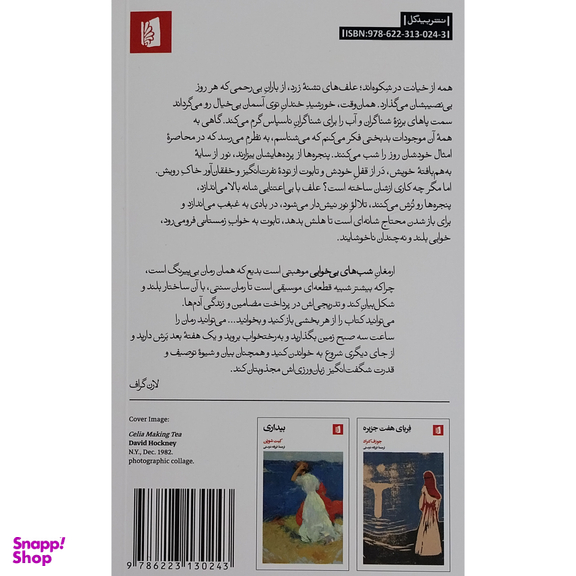 کتاب شب هاي بي خوابي اثر فرزانه دوستي نشر بيدگل