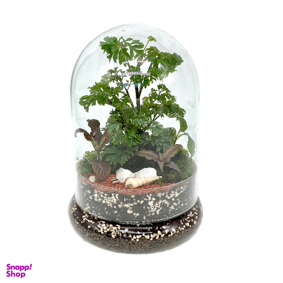 تراریوم مدل فلکسی کوتاه