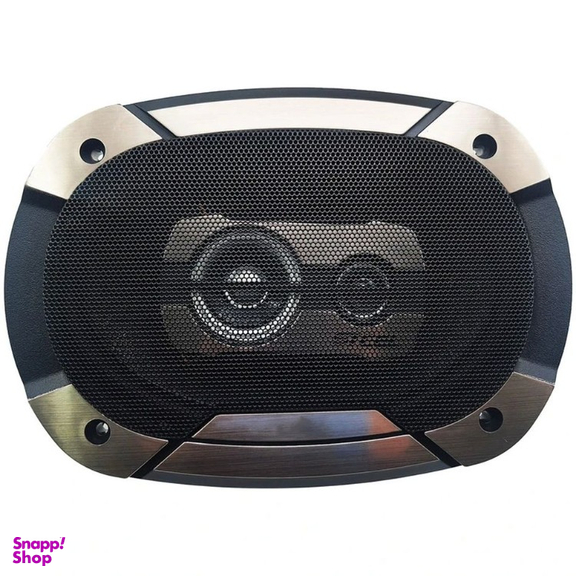 بلندگو خودرو استیل مدل ST-6975 V3