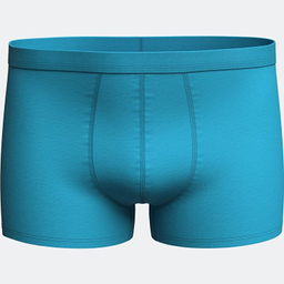 شورت پادار مردانه ال سی وایکیکی مدل S55099Z8 بسته 3 عددی