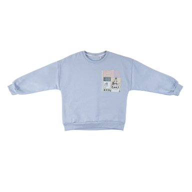 سویشرت پسرانه فیورلا مدل تیمون 45546