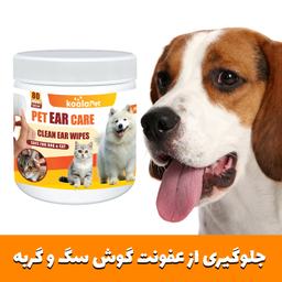 دستمال مرطوب سگ و گربه مخصوص گوش و اطراف چشم کوالاپت مدل Wipes03 بسته ۲ عددی