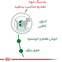 غذای خشک سگ رویال کنین مدل مینی ادالت وزن 2 کیلوگرم