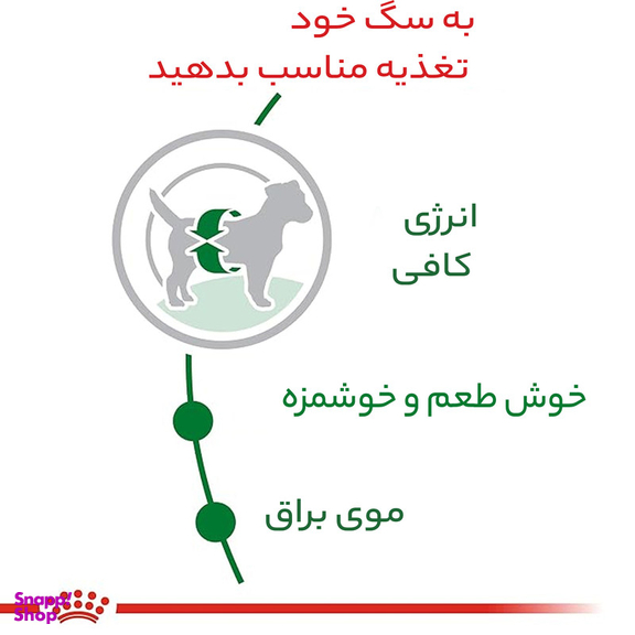 غذای خشک سگ رویال کنین مدل مینی ادالت وزن 2 کیلوگرم