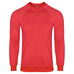 سویشرت مردانه ساروک مدل SMYGMReglan کد 02 رنگ قرمز