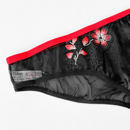 ست شورت و سوتین زنانه نوشه پوش مدل توری کد 88811