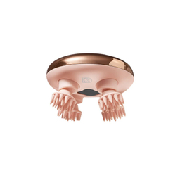 ماساژور برقی سر فیلیپس مدل PPM1301