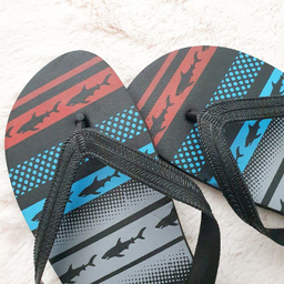 دمپایی لاانگشتی مردانه هاواینس کد Z-HF54