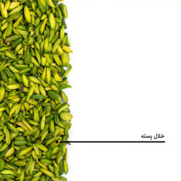 خلال پسته بارجیل