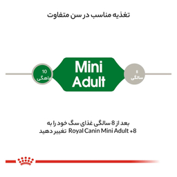 غذای خشک رویال کنین مدل مینی ادالت وزن 2000 گرم