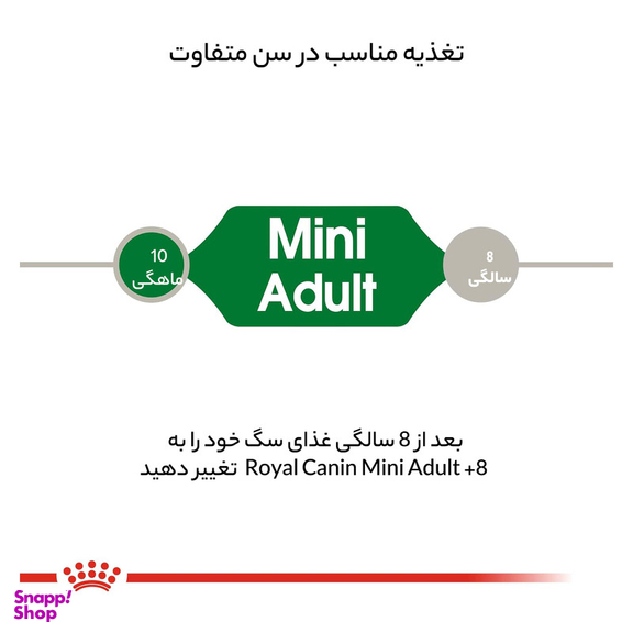 غذای خشک رویال کنین مدل مینی ادالت وزن 2000 گرم