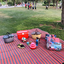 زیر انداز سفری راحل مدل حصیری یک تکه کد 4