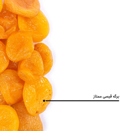 برگه قیسی ممتاز بارجیل