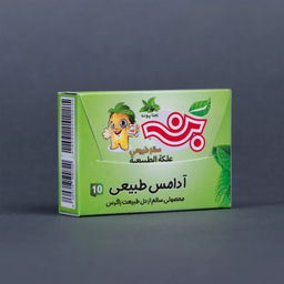 آدامس طبیعی بن طعم نعنا پونه مجموعه 12 عددی