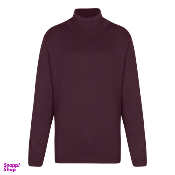 پلیور یقه اسکی مردانه ایزی دو مدل GD-s-16898934