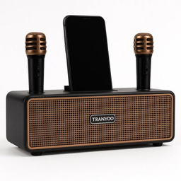 اسپیکر بلوتوثی قابل حمل ترانیو مدل BM22 به همراه میکروفون