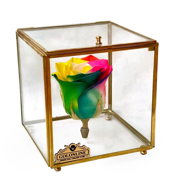 باکس گل جاودان گل آنلاین طرح برنزی رنگ رنگین کمانی